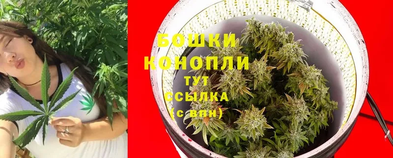 МЕГА онион  Костерёво  Бошки марихуана LSD WEED 